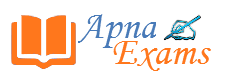 ApnaExams — Spark Infosys portfolio