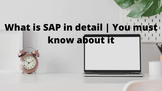 What is SAP in detail | You must know about it